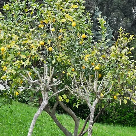 Villa La Pausa *